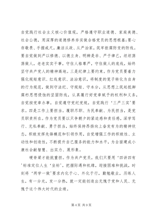 四讲四有大讨论发言稿.docx