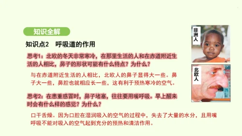 第四单元-第三章-第一节-呼吸道对空气的处理课件-2024-2025学年七年级生物下学期人教版(20