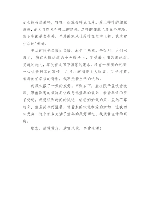 慢慢走的论文.docx