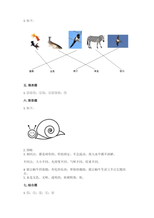 教科版一年级下册科学期末测试卷（考点梳理）.docx