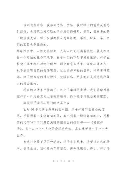 骆驼祥子读书心得800字高中生5篇.docx