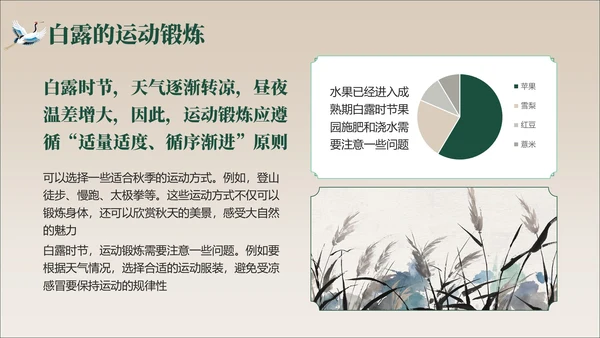 褐绿色中国风白露节气学校主题班会PPT模板