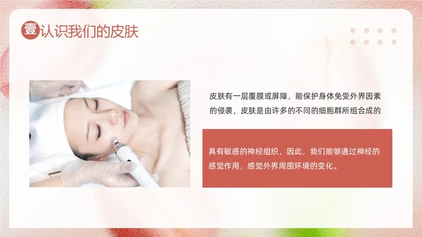 粉色简约美容知识培训大全PPT模板宣传PPT动态PPT
