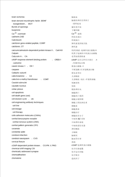 神经科学中英文词汇