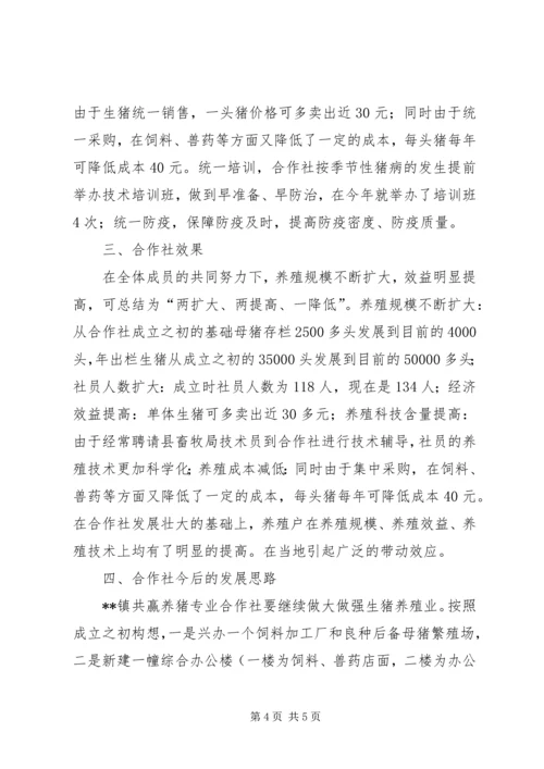 共赢养猪专业合作社典型材料.docx