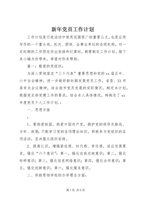 新年党员工作计划.docx