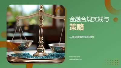 金融合规实践与策略