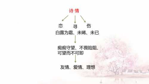 第12课 《诗经》二首——蒹葭 课件(共17张PPT)