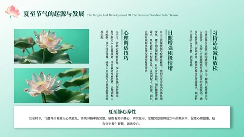 绿色中国风夏至节气PPT模板