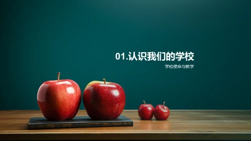 优化教学之道