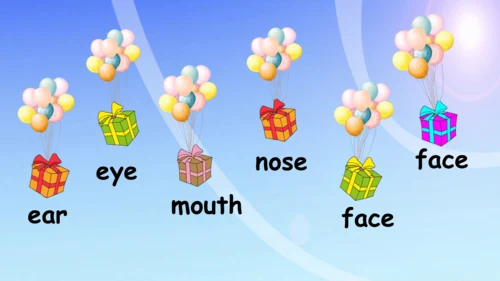 Unit 2 Face Lesson 2 课件(共34张PPT)