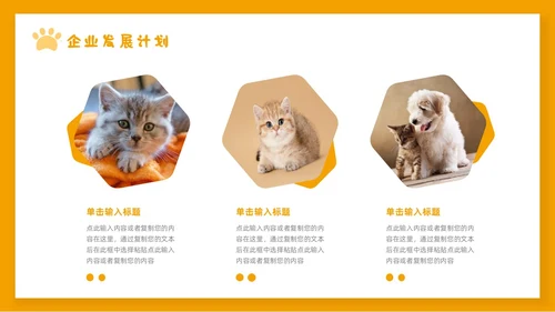 橙色简约宠物行业商业计划书PPT