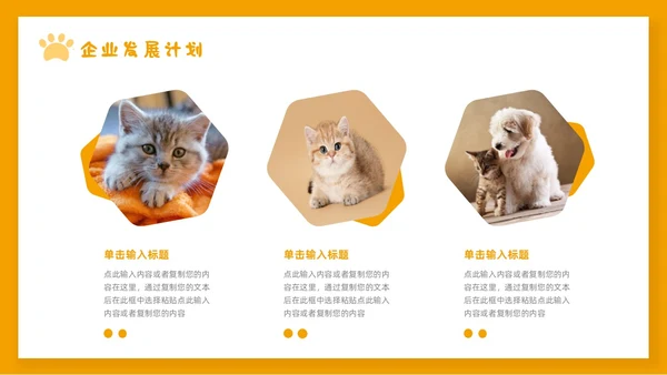 橙色简约宠物行业商业计划书PPT