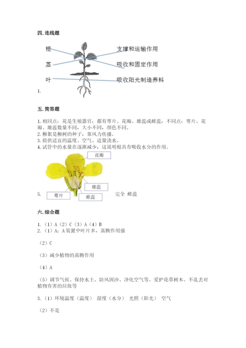 科学四年级下册第一单元《植物的生长变化》测试卷及完整答案【典优】.docx