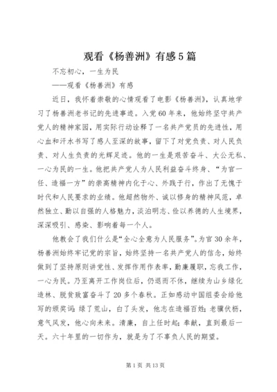观看《杨善洲》有感5篇.docx