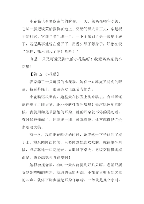 小花猫的作文.docx