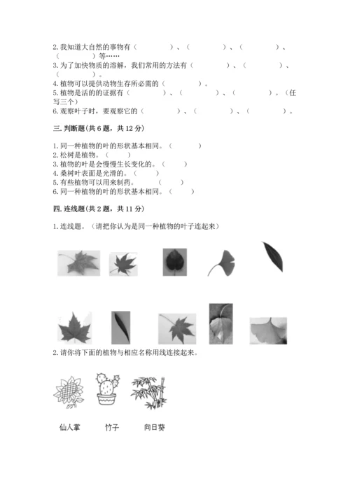 教科版科学一年级上册第一单元《植物》测试卷附参考答案（考试直接用）.docx