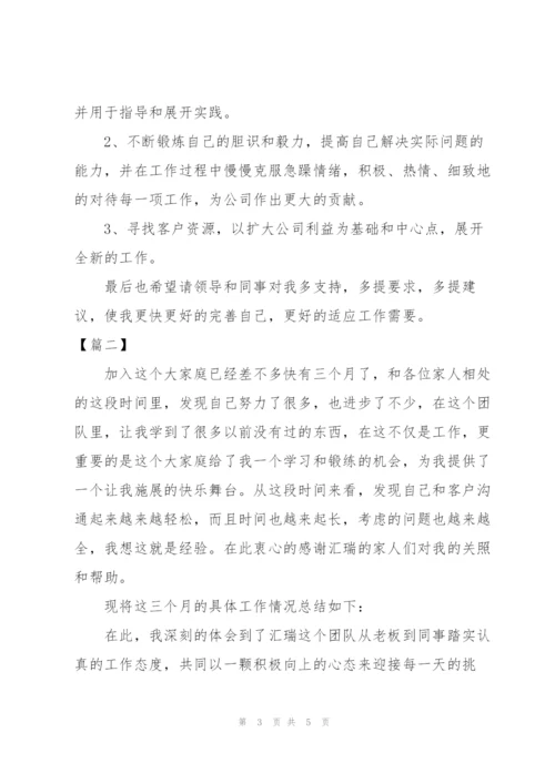 业务员个人试用期转正工作总结.docx