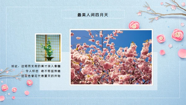 浪漫唯美风最美人间四月天通用PPT模板