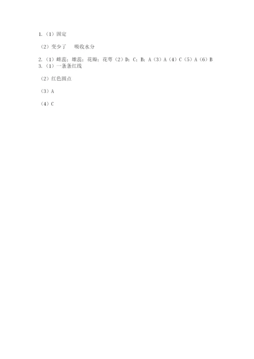 教科版科学四年级下册第一单元《植物的生长变化》测试卷附答案【实用】.docx