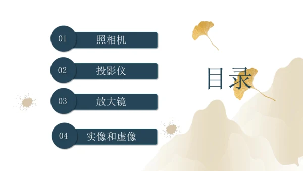 5.2生活中的透镜（课件）(共21张PPT) -2023-2024学年八年级物理上册同步精品课堂（人