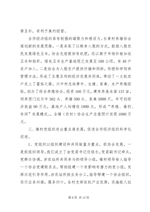 乡镇迎接县人大调研汇报材料.docx