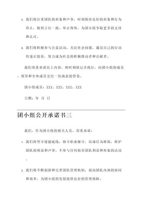 团小组公开承诺书