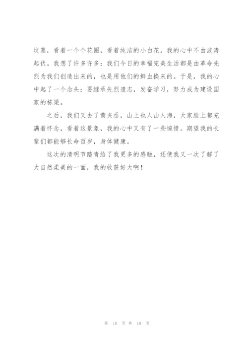 清明节踏青学生作文10篇.docx