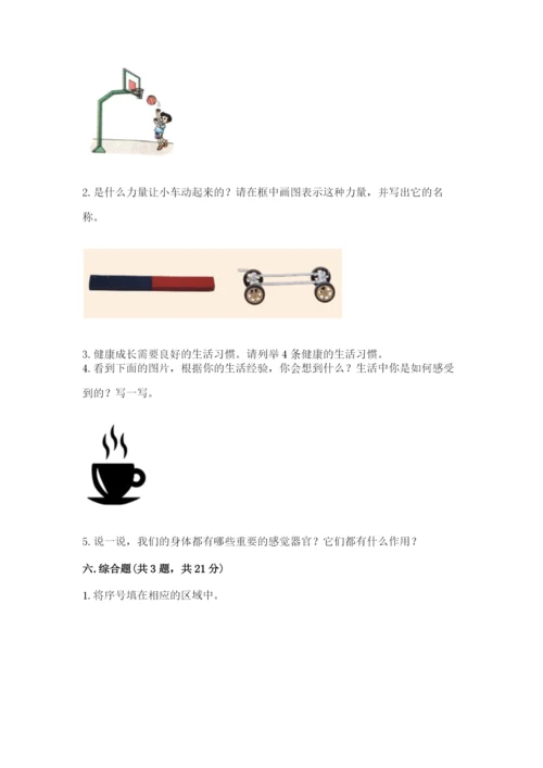 教科版小学科学二年级下册 期末测试卷含答案（培优b卷）.docx