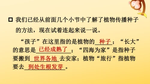 3 植物妈妈有办法  课件