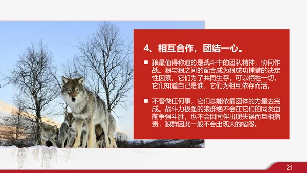 狼性文化企业培训PPT模板