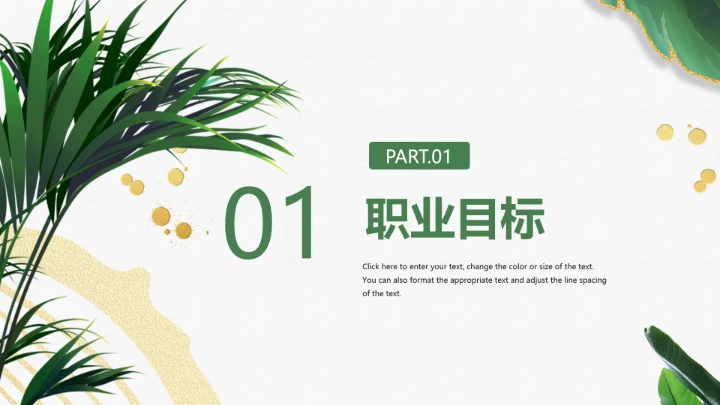 绿色会计学专业大学生职业生涯规划发展展示PPT模版