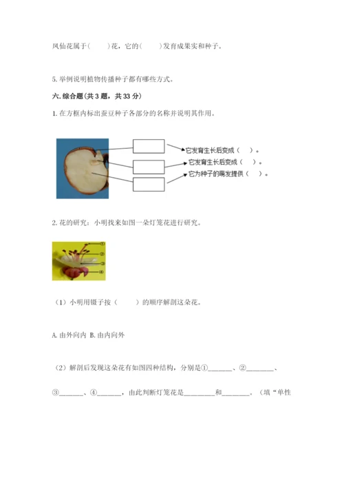 科学四年级下册第一单元植物的生长变化测试卷附答案【研优卷】.docx