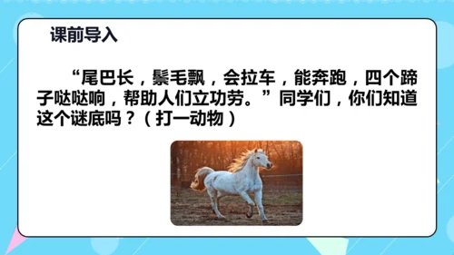 第8课《池子与河流》（教学课件）