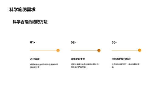 葡萄种植升级指南