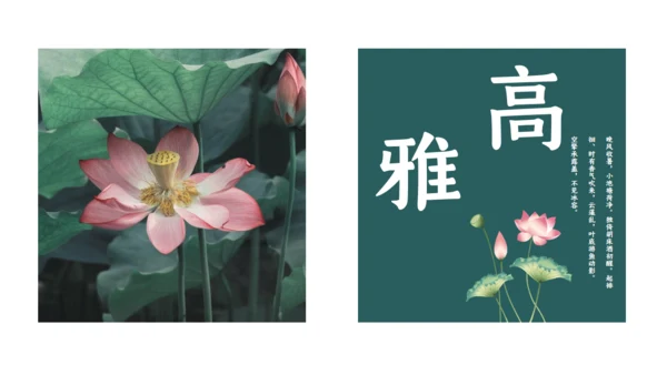 夏雨荷通用PPT模板