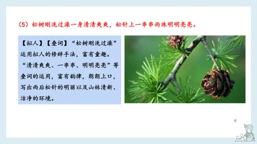 部编版语文三年级下册第六单元知识梳理  课件