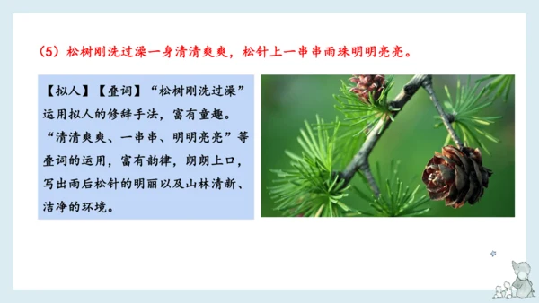 部编版语文三年级下册第六单元知识梳理  课件