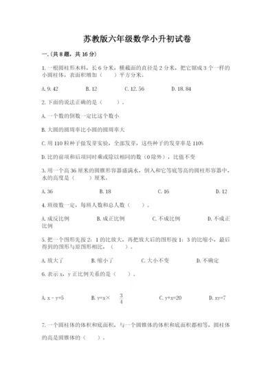 苏教版六年级数学小升初试卷精品【必刷】.docx