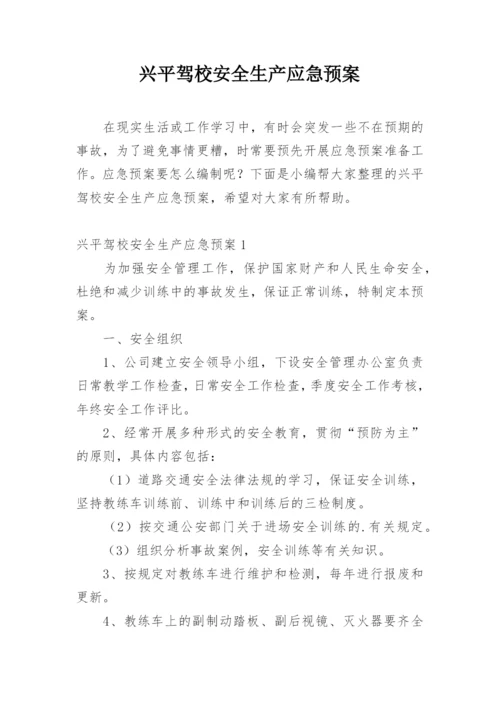 兴平驾校安全生产应急预案.docx