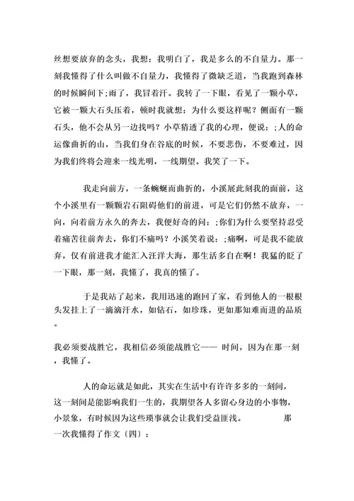 那一次我懂得了(作文20篇)