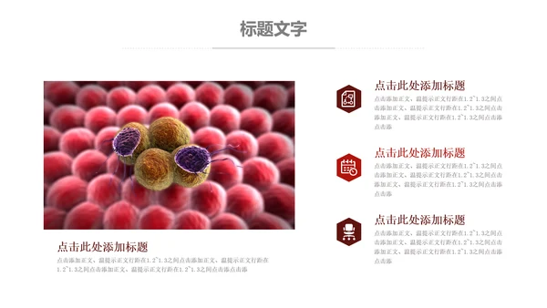 医疗细菌病毒微生物细胞组织动态ppt模板