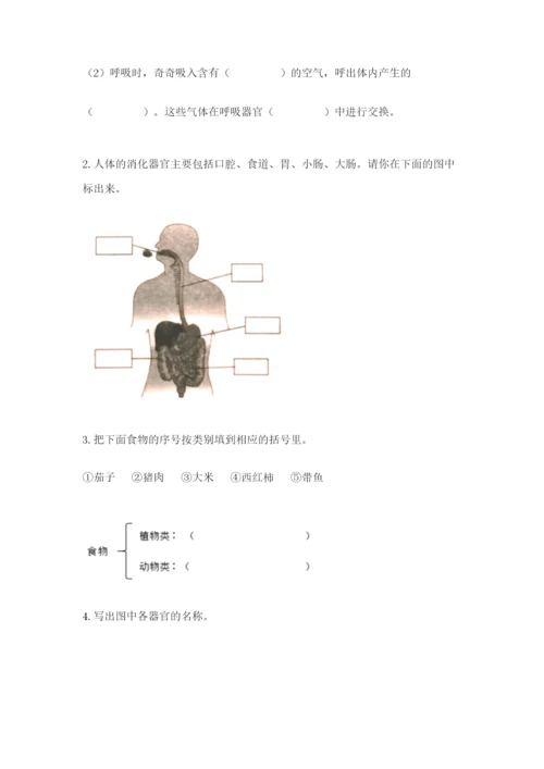 教科版四年级上册科学期末测试卷a4版.docx