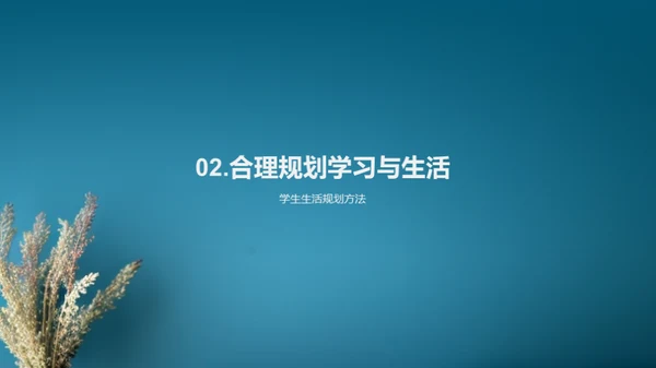 压力解析与应对