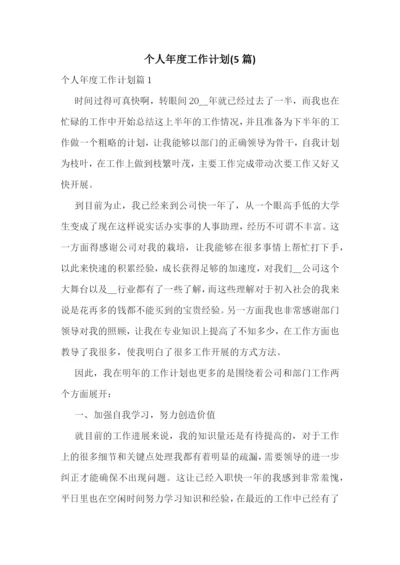 个人年度工作计划(5篇).docx