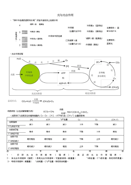 高中生物必修1第五章重点知识整理(呼吸作用、光合作用)