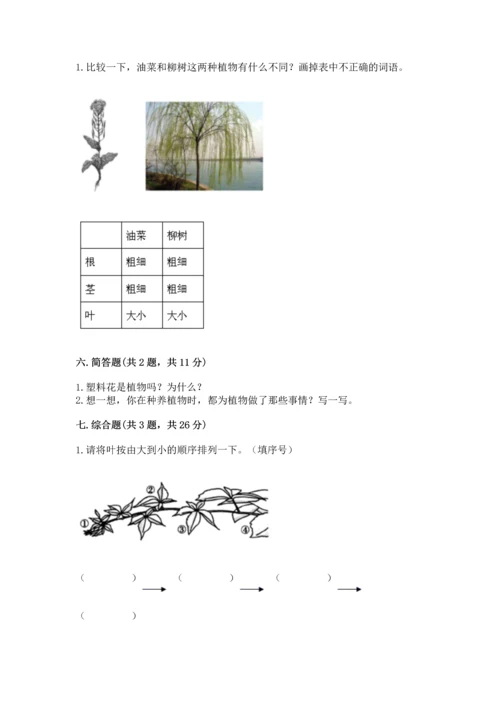教科版科学一年级上册第一单元《植物》测试卷及答案（基础+提升）.docx