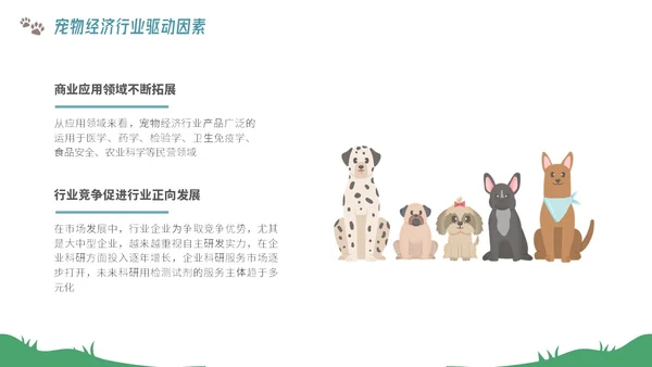 插画风宠物经济行业前景分析报告PPT