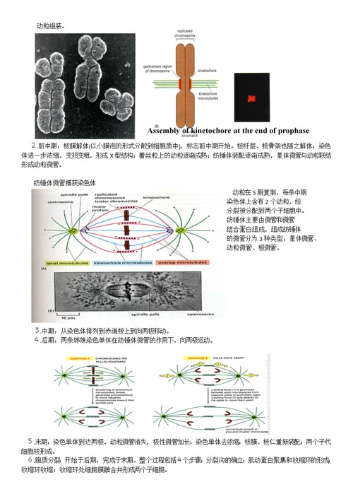 高中生物竞赛细胞的生活