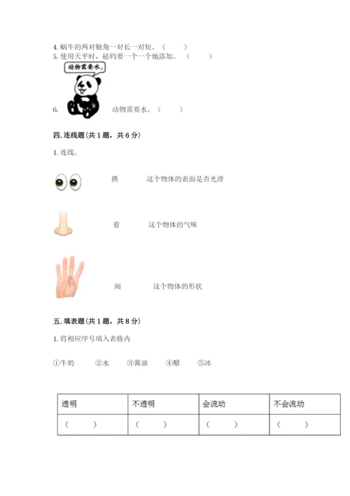 教科版小学科学一年级下册期末测试卷【word】.docx